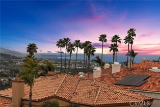 Single Family Residence, 20 Coronado Pointe, Laguna Niguel, CA 92677 - 26