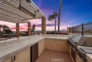 Single Family Residence, 20 Coronado Pointe, Laguna Niguel, CA 92677 - 40