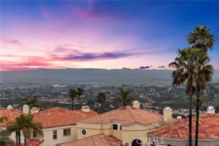 Single Family Residence, 20 Coronado Pointe, Laguna Niguel, CA 92677 - 44