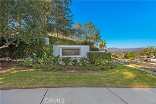 Single Family Residence, 20 Coronado Pointe, Laguna Niguel, CA 92677 - 46