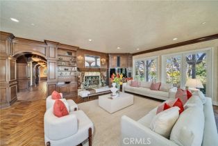 Single Family Residence, 2 Shetland, Coto De Caza, CA 92679 - 22