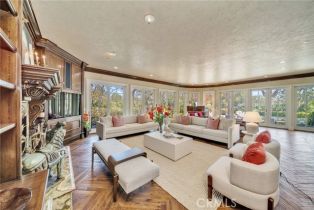 Single Family Residence, 2 Shetland, Coto De Caza, CA 92679 - 23