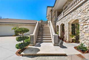 Single Family Residence, 6 Via Presea, Coto De Caza, CA 92679 - 3