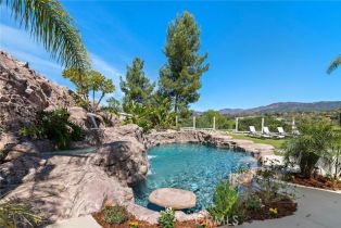 Single Family Residence, 6 Via Presea, Coto De Caza, CA 92679 - 44