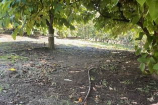 , 0 Shepard Mesa rd, Carpinteria, CA 93013 - 2