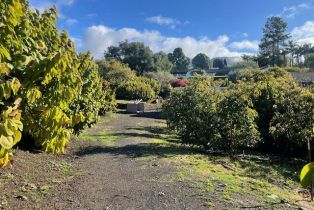 , 0 Shepard Mesa rd, Carpinteria, CA 93013 - 3