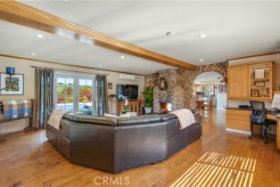 Single Family Residence, 29546 Spotted Bull ln, San Juan Capistrano, CA 92675 - 26