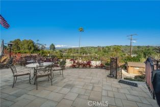 Single Family Residence, 29546 Spotted Bull ln, San Juan Capistrano, CA 92675 - 43
