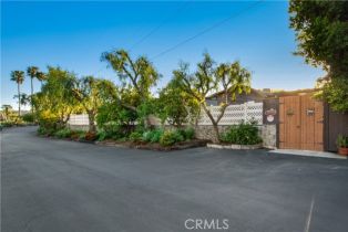 Single Family Residence, 29546 Spotted Bull ln, San Juan Capistrano, CA 92675 - 52