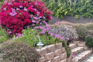 Single Family Residence, 29546 Spotted Bull ln, San Juan Capistrano, CA 92675 - 6