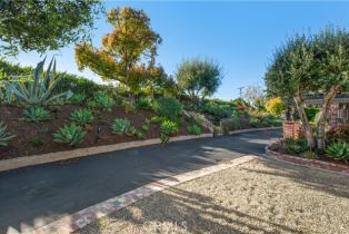 Single Family Residence, 29546 Spotted Bull ln, San Juan Capistrano, CA 92675 - 7