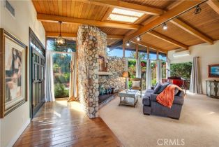 Single Family Residence, 29546 Spotted Bull ln, San Juan Capistrano, CA 92675 - 9