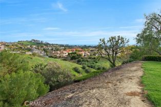 Condominium, 9 Terrace cir, Laguna Niguel, CA 92677 - 31