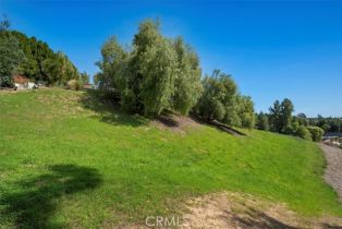 Single Family Residence, 10 Stagecoach rd, Bell Canyon, CA 91307 - 48