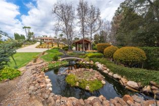 Single Family Residence, 2740 Los Alisos dr, Fallbrook, CA 92028 - 28
