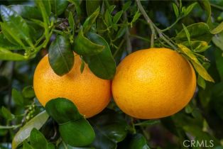 Single Family Residence, 2740 Los Alisos dr, Fallbrook, CA 92028 - 64