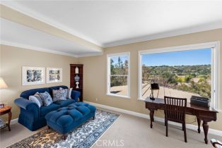Single Family Residence, 2 Williamsburg ln, Coto De Caza, CA 92679 - 31