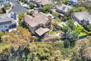 Single Family Residence, 2 Williamsburg ln, Coto De Caza, CA 92679 - 48