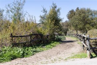 Single Family Residence, 27901 Via Estancia, San Juan Capistrano, CA 92675 - 48