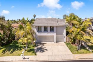 Single Family Residence, 2204 Recodo ct, Carlsbad, CA 92009 - 3