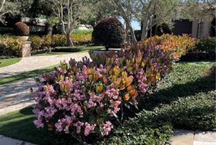 Single Family Residence, 33 Atlantis Cove, Newport Coast, CA 92657 - 33