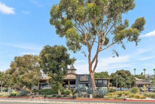 Apartment, 33782 Robles dr, Dana Point, CA 92629 - 43