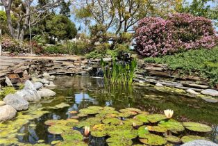 Single Family Residence, 31561 Peppertree, San Juan Capistrano, CA 92675 - 10