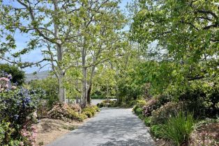 Single Family Residence, 31561 Peppertree, San Juan Capistrano, CA 92675 - 14