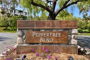 Single Family Residence, 31561 Peppertree, San Juan Capistrano, CA 92675 - 16