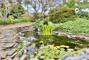 Single Family Residence, 31561 Peppertree, San Juan Capistrano, CA 92675 - 36