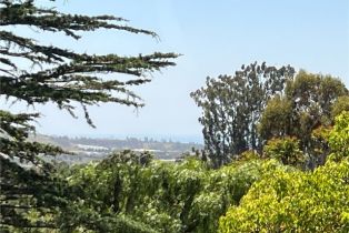 Single Family Residence, 31561 Peppertree, San Juan Capistrano, CA 92675 - 43