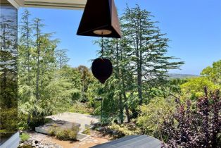 Single Family Residence, 31561 Peppertree, San Juan Capistrano, CA 92675 - 45