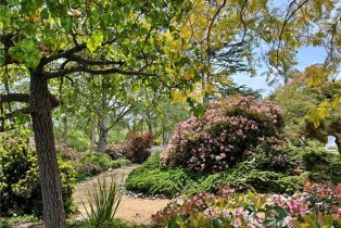 Single Family Residence, 31561 Peppertree, San Juan Capistrano, CA 92675 - 8