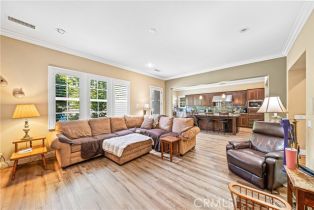 Single Family Residence, 31462 Paseo Campeon, San Juan Capistrano, CA 92675 - 19