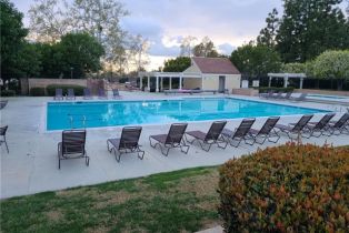 Single Family Residence, 6 Sycamore, Irvine, CA 92603 - 50