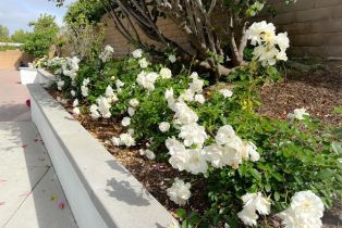 Single Family Residence, 960 S JOLIET cir, Anaheim Hills, CA 92807 - 38