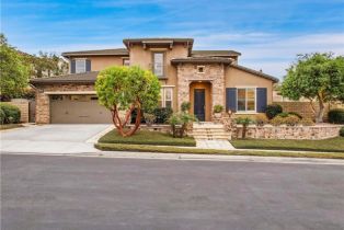 Single Family Residence, 29300 Paseo Palmar, San Juan Capistrano, CA 92675 - 5