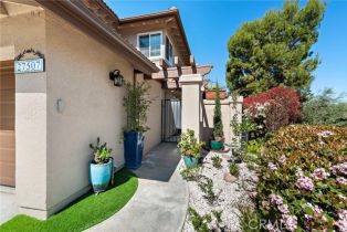 Condominium, 27507 Via Sequoia, San Juan Capistrano, CA 92675 - 5