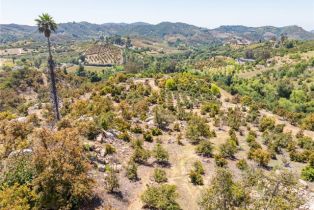 , 0 Las Palmeras drive, Temecula, CA 92590 - 15