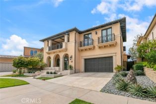 Single Family Residence, 31 Seawatch, Newport Coast, CA 92657 - 46