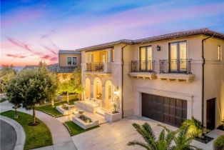 Single Family Residence, 31 Seawatch, Newport Coast, CA 92657 - 5