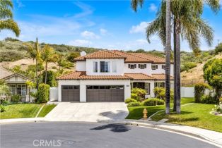 Single Family Residence, 424 Bolivia, San Clemente, CA 92672 - 3