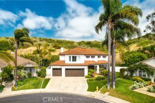 Single Family Residence, 424 Bolivia, San Clemente, CA 92672 - 53