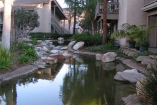 Condominium, 43 TANGELO, Irvine, CA 92618 - 33