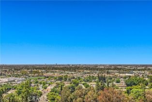 Single Family Residence, 2476 La Capella ct, Orange, CA 92867 - 24