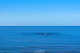 Condominium, 1001 Buena Vista, San Clemente, CA 92672 - 35