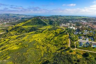 Single Family Residence, 3 Treethorne cir, Laguna Niguel, CA 92677 - 22