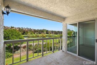 Condominium, 31348 Nine dr, Laguna Niguel, CA 92677 - 19