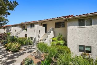 Condominium, 31348 Nine dr, Laguna Niguel, CA 92677 - 4