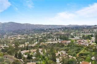 Single Family Residence, 740 Crown Pointe dr, Anaheim Hills, CA 92807 - 48